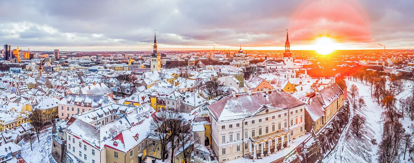 estonia tour package from india