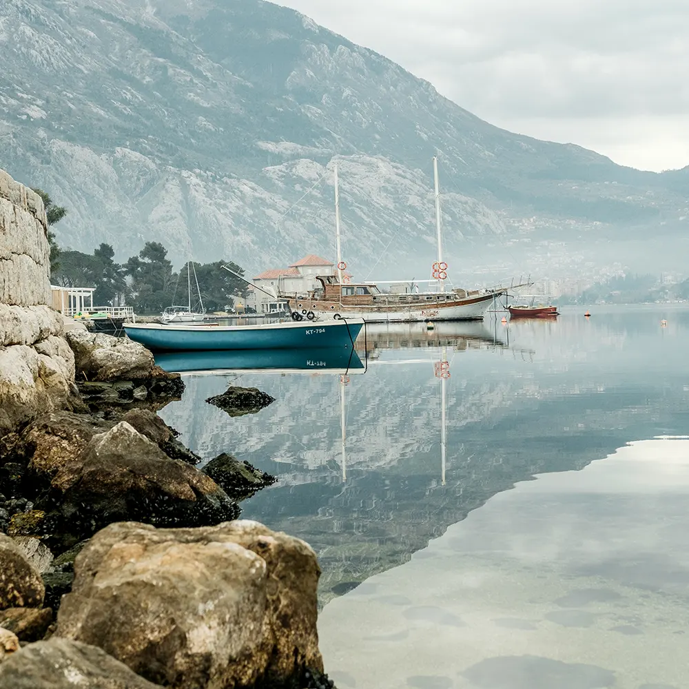boats